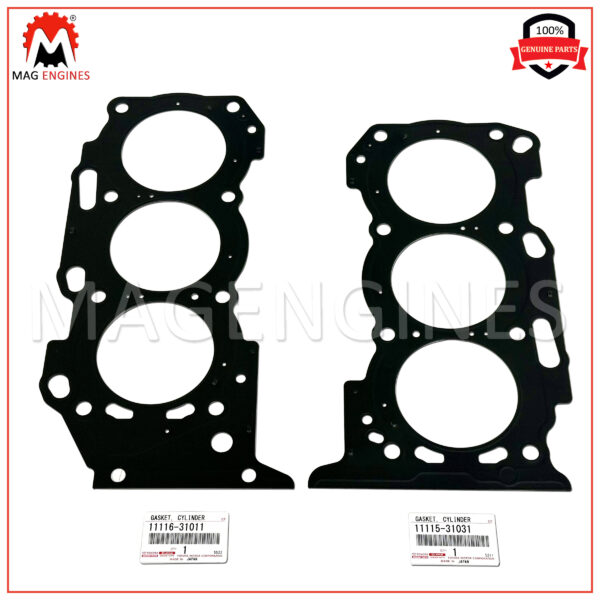 Rear Strut and Coil Spring Assembly